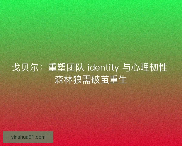戈贝尔：重塑团队 identity 与心理韧性 森林狼需破茧重生